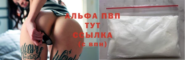 крисы Армянск