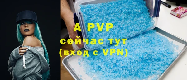 шишки Сатка