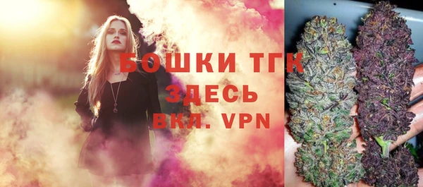 крисы Армянск